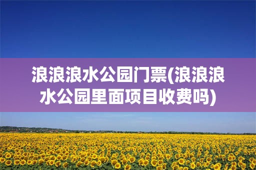 浪浪浪水公园门票(浪浪浪水公园里面项目收费吗)