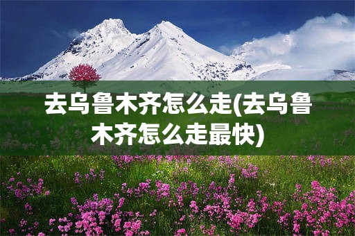去乌鲁木齐怎么走(去乌鲁木齐怎么走最快)