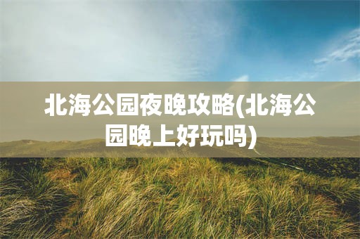北海公园夜晚攻略(北海公园晚上好玩吗)