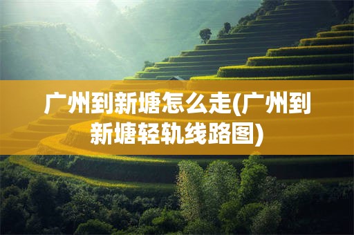 广州到新塘怎么走(广州到新塘轻轨线路图)