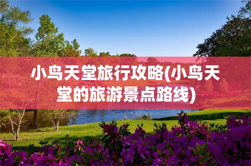 小鸟天堂旅行攻略(小鸟天堂的旅游景点路线)