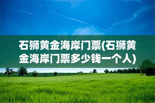 石狮黄金海岸门票(石狮黄金海岸门票多少钱一个人)