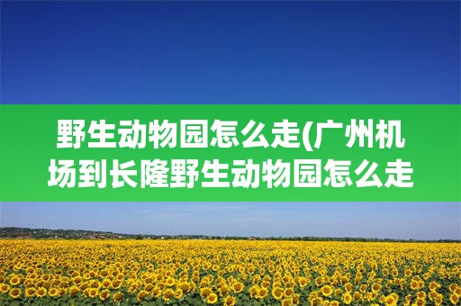 野生动物园怎么走(广州机场到长隆野生动物园怎么走)