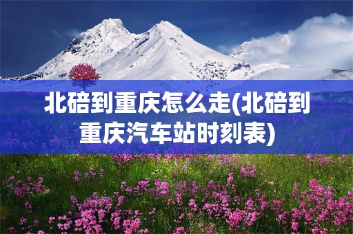 北碚到重庆怎么走(北碚到重庆汽车站时刻表)
