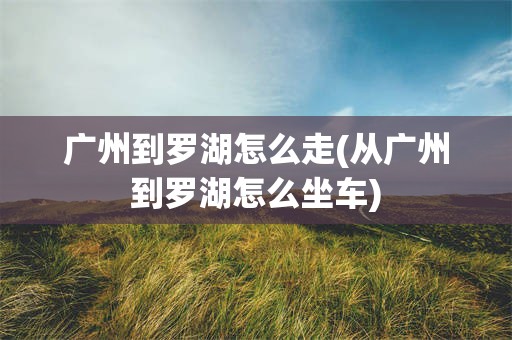 广州到罗湖怎么走(从广州到罗湖怎么坐车)