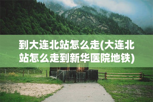 到大连北站怎么走(大连北站怎么走到新华医院地铁)