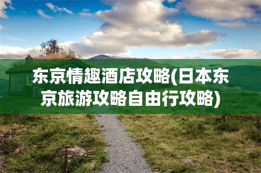 东京情趣酒店攻略(日本东京旅游攻略自由行攻略)