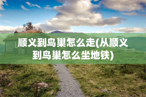 顺义到鸟巢怎么走(从顺义到鸟巢怎么坐地铁)