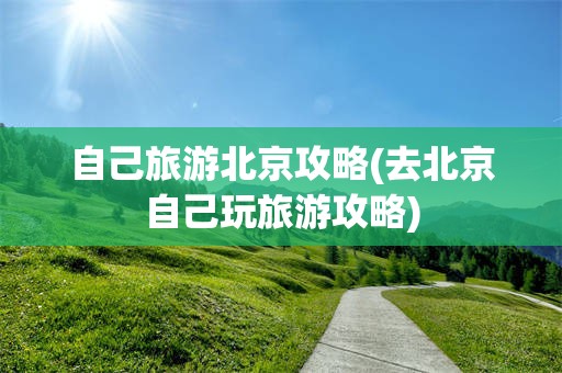 自己旅游北京攻略(去北京自己玩旅游攻略)