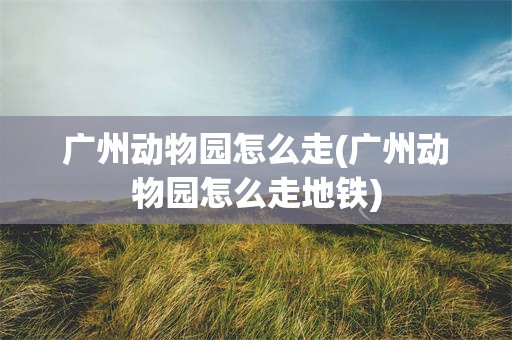 广州动物园怎么走(广州动物园怎么走地铁)