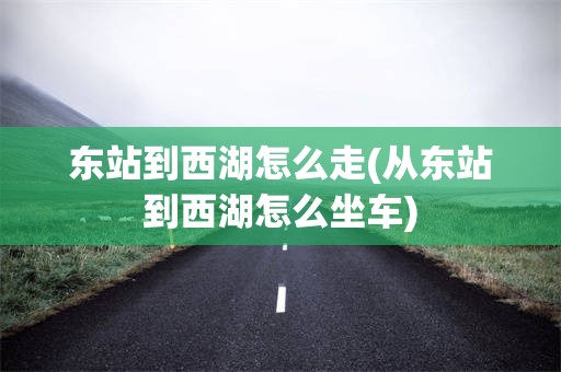 东站到西湖怎么走(从东站到西湖怎么坐车)