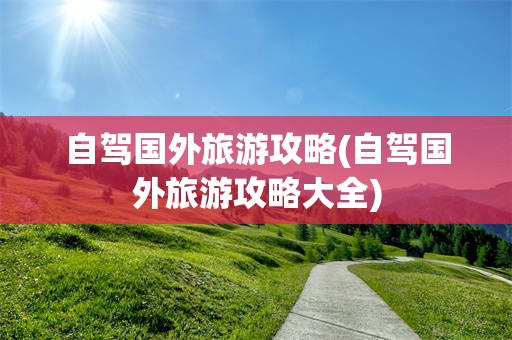 自驾国外旅游攻略(自驾国外旅游攻略大全)