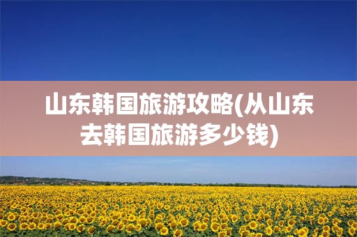 山东韩国旅游攻略(从山东去韩国旅游多少钱)