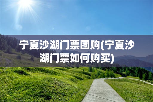 宁夏沙湖门票团购(宁夏沙湖门票如何购买)