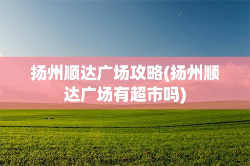 扬州顺达广场攻略(扬州顺达广场有超市吗)