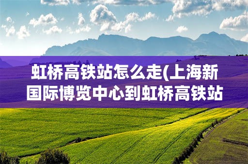 虹桥高铁站怎么走(上海新国际博览中心到虹桥高铁站怎么走)
