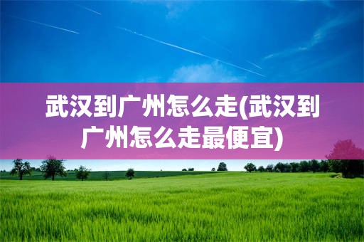 武汉到广州怎么走(武汉到广州怎么走最便宜)
