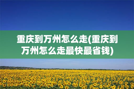 重庆到万州怎么走(重庆到万州怎么走最快最省钱)
