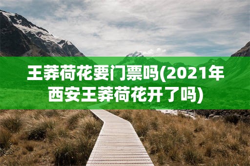 王莽荷花要门票吗(2021年西安王莽荷花开了吗)