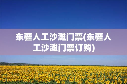 东疆人工沙滩门票(东疆人工沙滩门票订购)