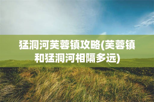 猛洞河芙蓉镇攻略(芙蓉镇和猛洞河相隔多远)