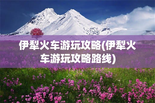 伊犁火车游玩攻略(伊犁火车游玩攻略路线)