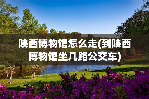 陕西博物馆怎么走(到陕西博物馆坐几路公交车)