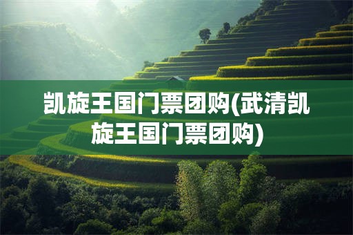 凯旋王国门票团购(武清凯旋王国门票团购)