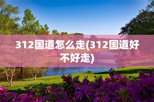 312国道怎么走(312国道好不好走)