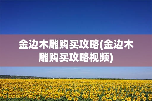 金边木雕购买攻略(金边木雕购买攻略视频)