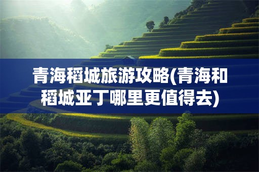 青海稻城旅游攻略(青海和稻城亚丁哪里更值得去)