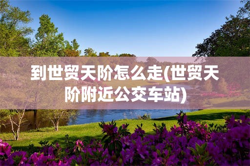 到世贸天阶怎么走(世贸天阶附近公交车站)