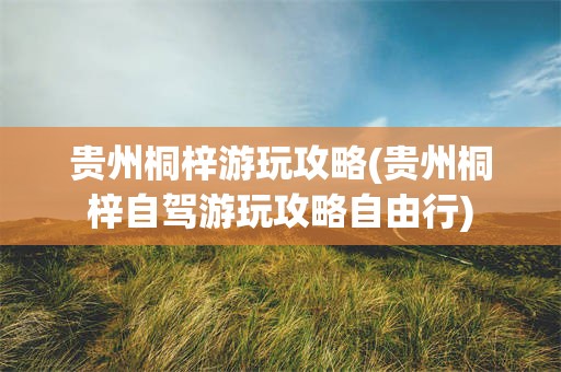 贵州桐梓游玩攻略(贵州桐梓自驾游玩攻略自由行)