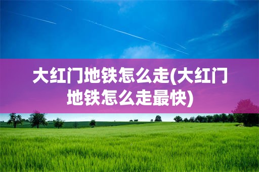 大红门地铁怎么走(大红门地铁怎么走最快)