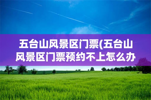 五台山风景区门票(五台山风景区门票预约不上怎么办)