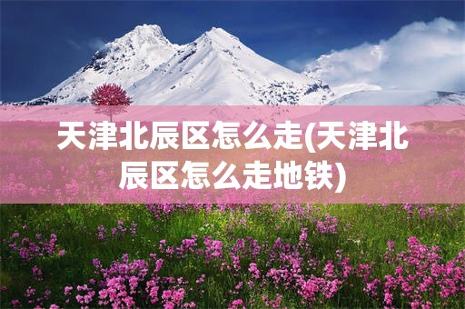 天津北辰区怎么走(天津北辰区怎么走地铁)