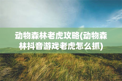 动物森林老虎攻略(动物森林抖音游戏老虎怎么抓)