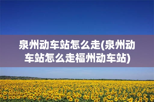 泉州动车站怎么走(泉州动车站怎么走福州动车站)