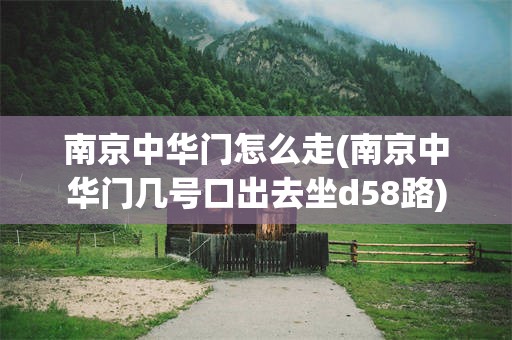 南京中华门怎么走(南京中华门几号口出去坐d58路)