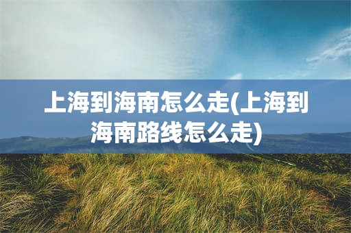 上海到海南怎么走(上海到海南路线怎么走)
