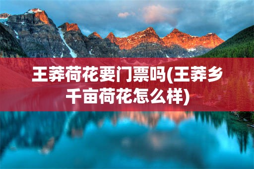王莽荷花要门票吗(王莽乡千亩荷花怎么样)