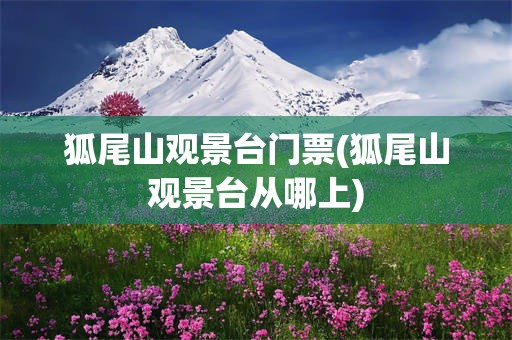狐尾山观景台门票(狐尾山观景台从哪上)