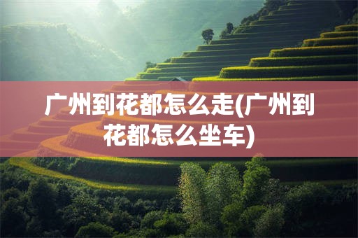 广州到花都怎么走(广州到花都怎么坐车)