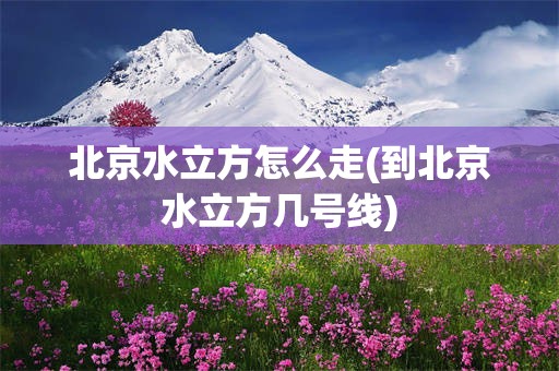 北京水立方怎么走(到北京水立方几号线)