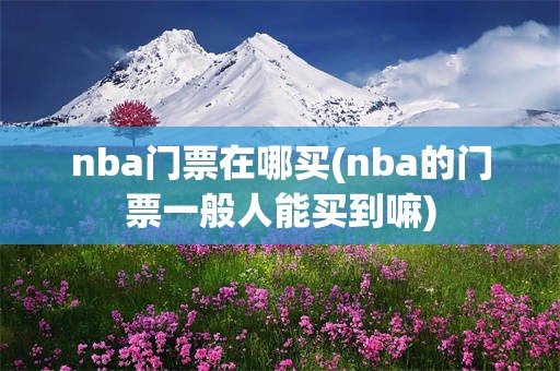 nba门票在哪买(nba的门票一般人能买到嘛)