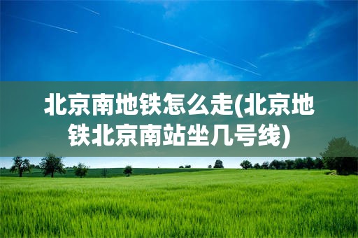 北京南地铁怎么走(北京地铁北京南站坐几号线)