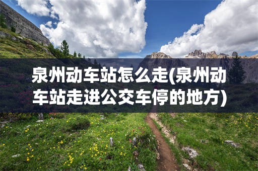 泉州动车站怎么走(泉州动车站走进公交车停的地方)