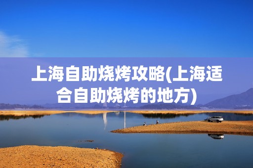上海自助烧烤攻略(上海适合自助烧烤的地方)