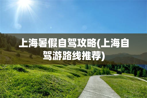 上海暑假自驾攻略(上海自驾游路线推荐)