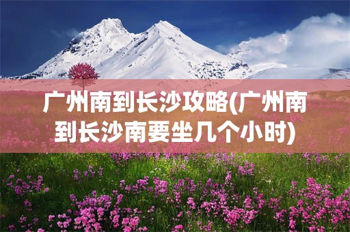 广州南到长沙攻略(广州南到长沙南要坐几个小时)